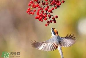 惊蛰过后一周会下雨吗?惊蛰下雨好吗? 惊蛰过后一周会下雨吗?惊蛰下雨好吗?