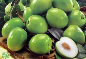 女人吃青枣好吗?女人吃青枣的好处 女人吃青枣好吗?女人吃青枣的好处