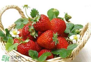 五月份还有草莓吗?5月份还有草莓吗? 五月份还有草莓吗?5月份还有草莓吗?