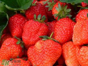 五月份还有草莓吗?5月份还有草莓吗? 五月份还有草莓吗?5月份还有草莓吗?