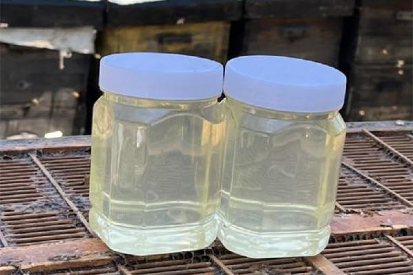 槐花蜜是结晶的好还是不结晶的好 槐花蜜怎么分辨真假 槐花蜜是结晶的好还是不结晶的好 槐花蜜怎么分辨真假