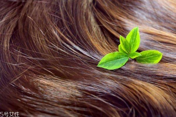 头发发质不好怎么护理 各种发质的保养护理方法 头发发质不好怎么护理 各种发质的保养护理方法