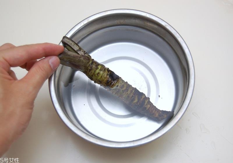 山葵和芥末的区别 山葵粉怎么磨 山葵和芥末的区别 山葵粉怎么磨