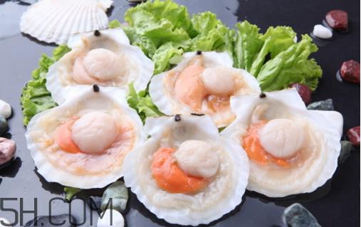 扇贝和生蚝有什么区别?扇贝和生蚝的营养价值 扇贝和生蚝有什么区别?扇贝和生蚝的营养价值