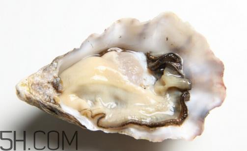 扇贝和生蚝有什么区别?扇贝和生蚝的营养价值 扇贝和生蚝有什么区别?扇贝和生蚝的营养价值