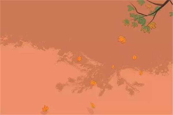 立秋能喝生姜水吗 立秋节气注意事项 立秋能喝生姜水吗 立秋节气注意事项