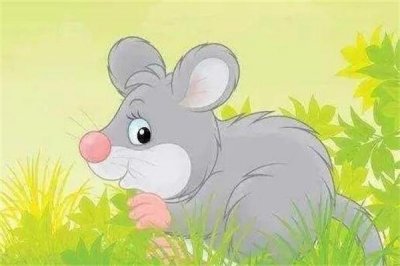 十二生肖谁是学渣,十二生肖谁是学霸