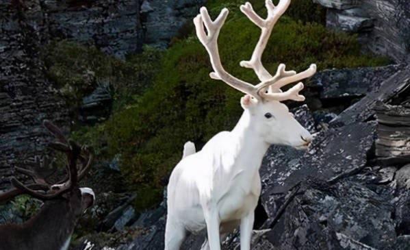 网络配图 网络配图