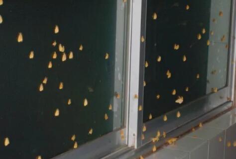 网络配图 网络配图