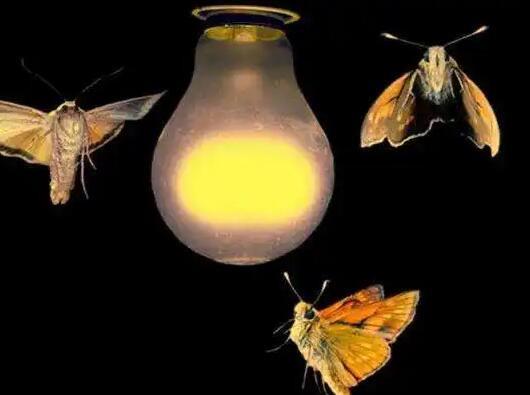 网络配图 网络配图