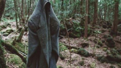 日本自杀森林是什么地方,日本自杀森林传闻