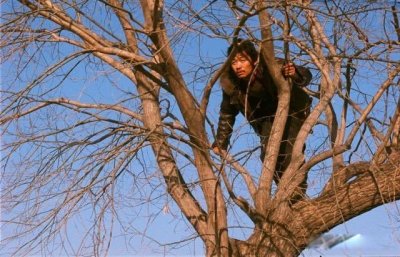 hello树先生深度解析 情节并不复杂都是假象