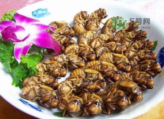 立秋后的金蝉能吃吗?立秋后还有金蝉吗? 立秋后的金蝉能吃吗?立秋后还有金蝉吗?