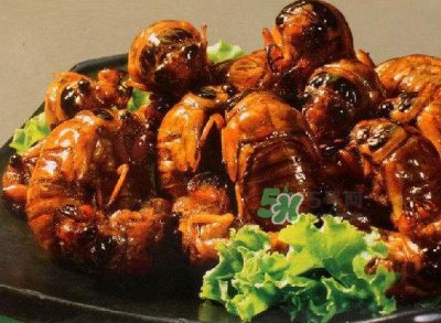 立秋后的金蝉能吃吗?立秋后还有金蝉吗?