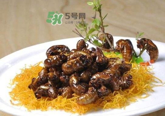 立秋后的金蝉能吃吗?立秋后还有金蝉吗? 立秋后的金蝉能吃吗?立秋后还有金蝉吗?