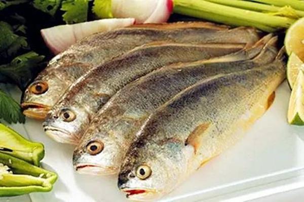 怎么挑选新鲜的黄鱼 黄鱼是黄花鱼吗 怎么挑选新鲜的黄鱼 黄鱼是黄花鱼吗