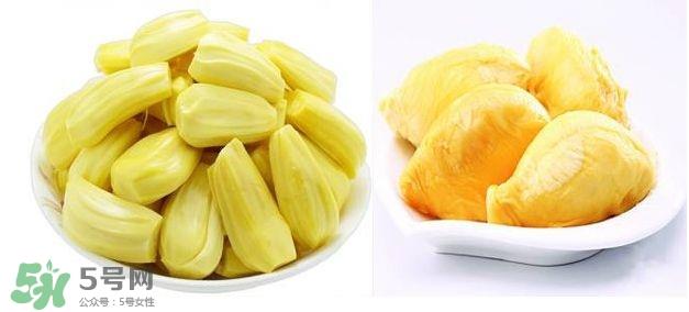 榴莲和菠萝蜜一样吗?榴莲和菠萝蜜哪个营养好? 榴莲和菠萝蜜一样吗?榴莲和菠萝蜜哪个营养好?