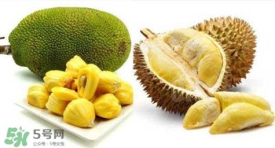 ​榴莲和菠萝蜜一样吗？榴莲和菠萝蜜哪个营养好？