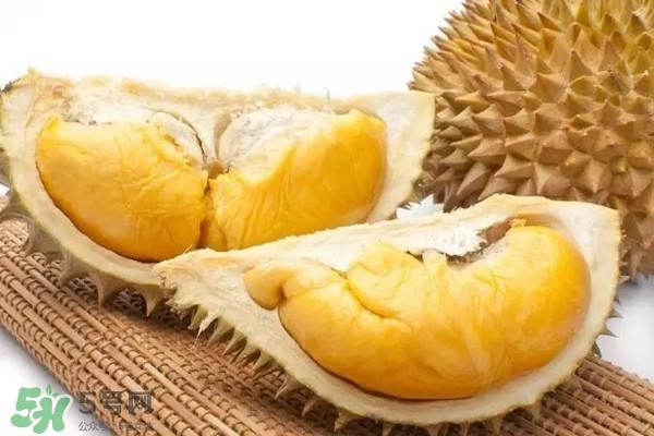 榴莲和菠萝蜜一样吗?榴莲和菠萝蜜哪个营养好? 榴莲和菠萝蜜一样吗?榴莲和菠萝蜜哪个营养好?
