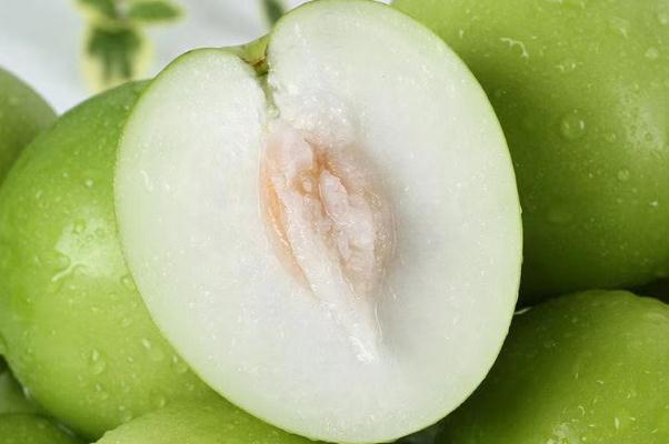 牛奶枣孕妇血糖高可以吃吗 牛奶枣孕妇可以多吃吗 牛奶枣孕妇血糖高可以吃吗 牛奶枣孕妇可以多吃吗