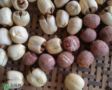 芡实不能和什么一起吃?芡实不能与什么同食? 芡实不能和什么一起吃?芡实不能与什么同食?