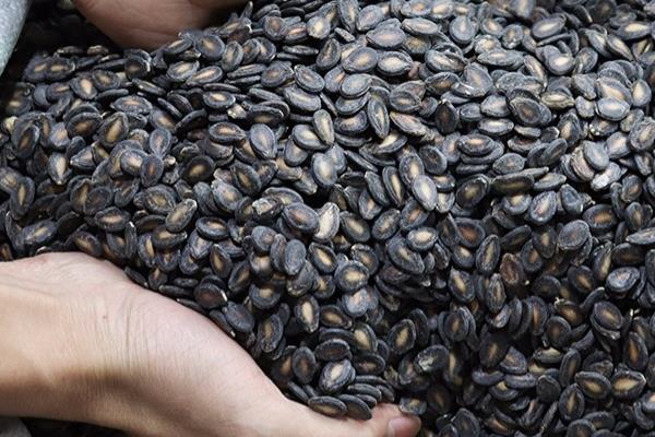 奶油西瓜子怎么做 教你做美味奶油瓜子 奶油西瓜子怎么做 教你做美味奶油瓜子