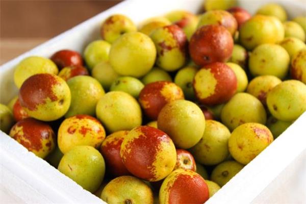 冬枣红的好还是绿的好 冬枣全红的正常吗