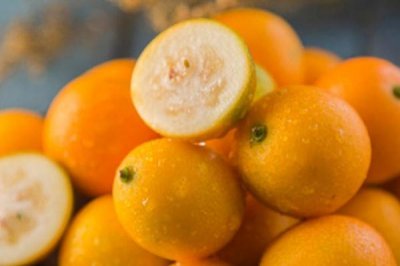 ​小金桔的作用与功效 小金桔泡水喝的功效与作用