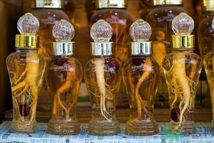 人参能生吃吗？人参能泡水喝吗？