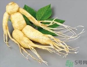 人参能生吃吗？人参能泡水喝吗？