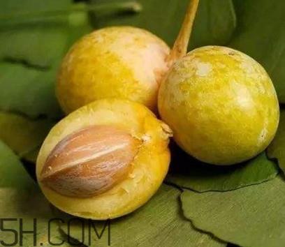 白果没熟吃了会怎么样？白果熟了是什么样子的