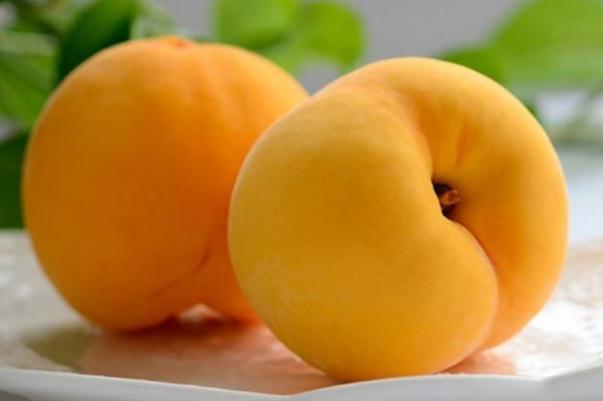 黄桃孕妇可以吃吗 黄桃孕妇吃有什么好处 黄桃孕妇可以吃吗 黄桃孕妇吃有什么好处