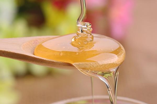 洋槐蜜和枣花蜜哪个好 前者更胜一筹