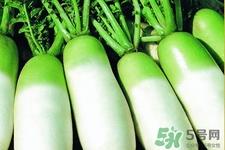 冬天御寒吃萝卜有用吗？御寒养生不妨多吃萝卜