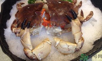 面包蟹怎么吃？面包蟹的吃法详解