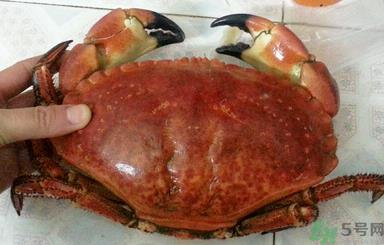 面包蟹怎么吃？面包蟹的吃法详解