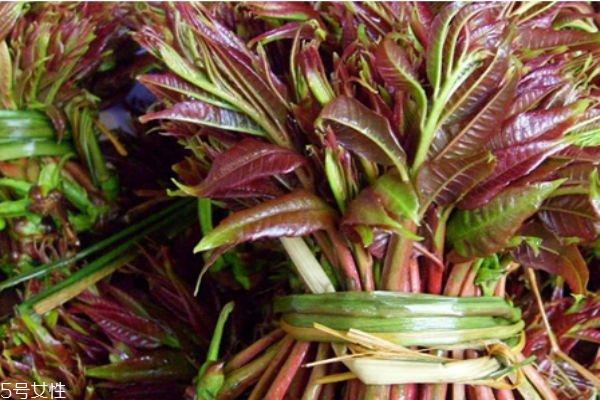 香椿的功效和作用 香椿的营养价值