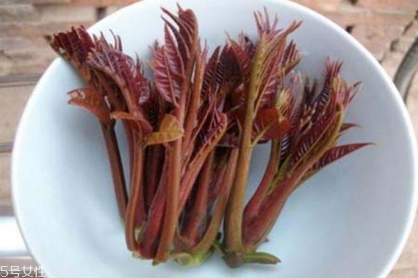 香椿的功效和作用 香椿的营养价值