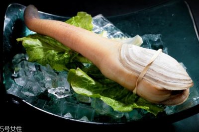 ​象拔蚌味道怎么样 鲜味十足