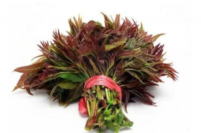 ​香椿是几月份吃的 香椿是寒性还是热性