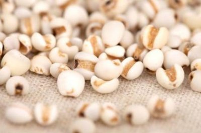 ​薏米对胃有伤害吗 薏米对血糖有影响吗