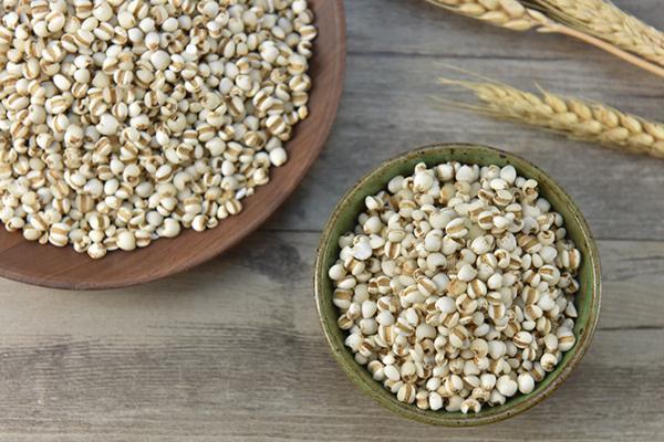 薏米对胃有伤害吗 薏米对血糖有影响吗