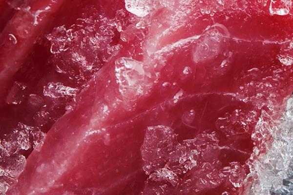 金枪鱼是发物吗 属于发物