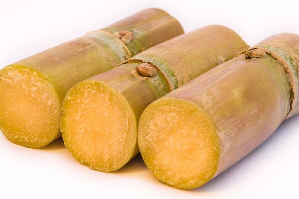 甘蔗怎么挑选比较甜 甘蔗买粗的还是细的