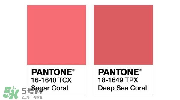 珊瑚红口红是什么颜色？珊瑚红口红试色