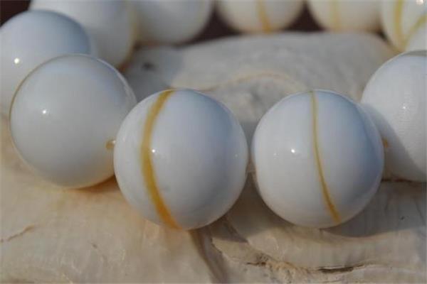 金丝砗磲是天然的吗 金丝砗磲是玉化的吗