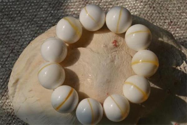 金丝砗磲是天然的吗 金丝砗磲是玉化的吗