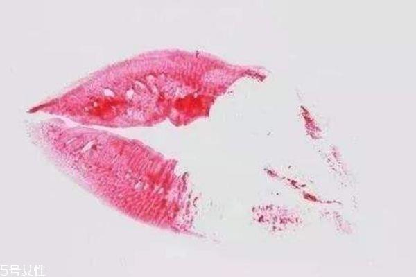 什么是口红雨衣呢 口红雨衣的工作原理是什么呢