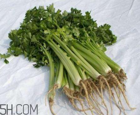 香菜根煮水能退烧吗？香菜根煮水能治咳嗽吗？