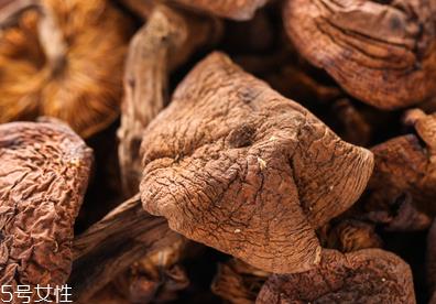 榛蘑多久能成熟?榛蘑的成熟期 榛蘑多久能成熟?榛蘑的成熟期